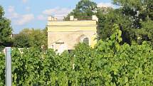 Místo budoucího kulturně-vzdělávacího vinařského areálu ve Veselí nad Moravou a jeho okolí koncem července 2021.