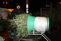 Už od listopadu se prodávají vánoční stromky jak v centrech měst, tak u maloobchodníků. Ceny jsou na loňské úrovni, v posledních letech se nejlépe prodávají jedličky. 
