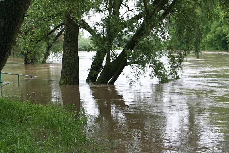 Velká voda na řece Moravě u Rohatce v pondělí 17. května