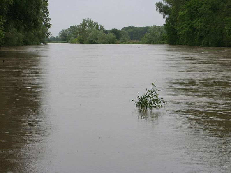 Velká voda na řece Moravě u Rohatce v pondělí 17. května