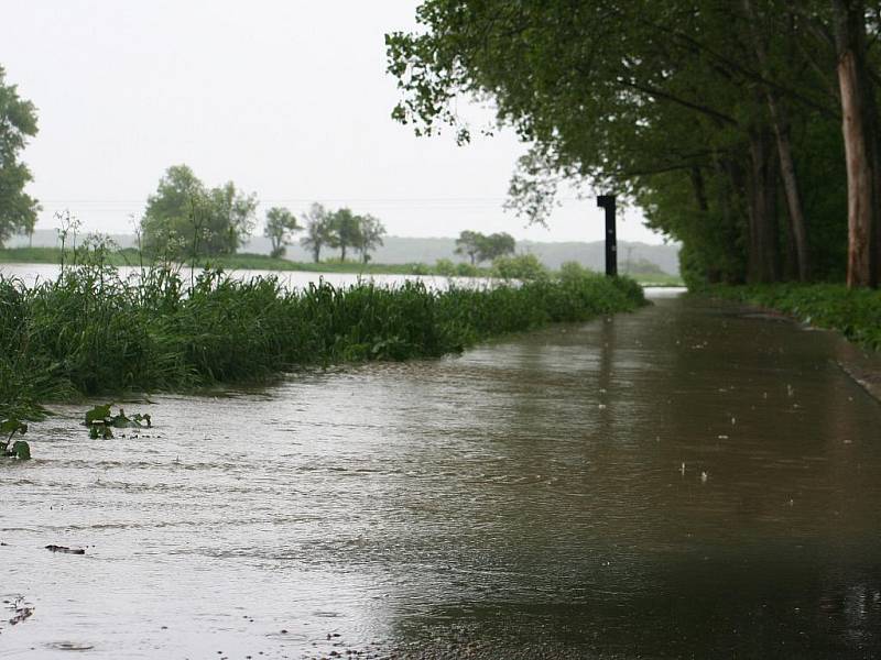 Velká voda na řece Moravě u Rohatce v pondělí 17. května