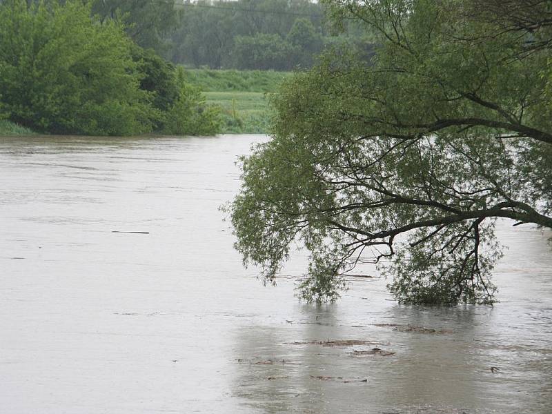 Velká voda na řece Moravě u Strážnice v pondělí 17. května