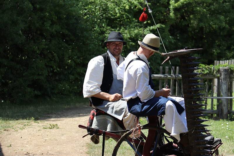 Dožínky ve skanzenu jsou ve Strážnici již tradiční folklorní akcí.