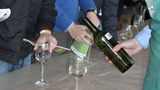 Stovky lidí ochutnaly vína v Rohatci. Šampionem výstavy se pyšní i domácí  vinař - Hodonínský deník