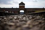 Nacistický koncentrační tábor Osvětim (polsky Oświęcim, německy Auschwitz) byl zřízen na jaře 1940 na území okupovaného Polska.