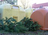 V Hodoníně mohou lidé vánoční stromky nosit k místům, kde jsou kontejnery na tříděný odpad a kompost.