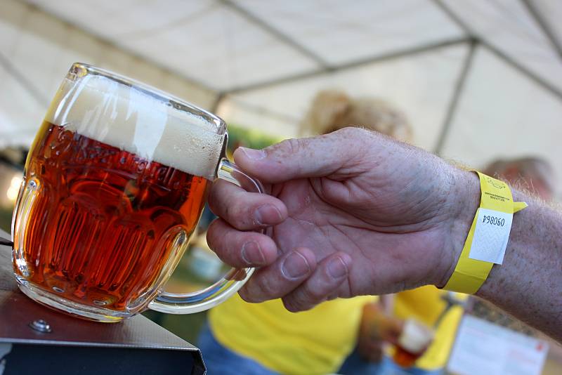 V hasičském areálu ve Vacenovicích se uskutečnil osmý ročník Bierfestu. Letos návštěvníkům nabídla třiadvacet druhů piva. Během svátečního odpoledne si mohli lidé kromě zlatavého moku zasoutěžit nebo poslechnout muziku. Výtěžek z akce putuje každoročně na