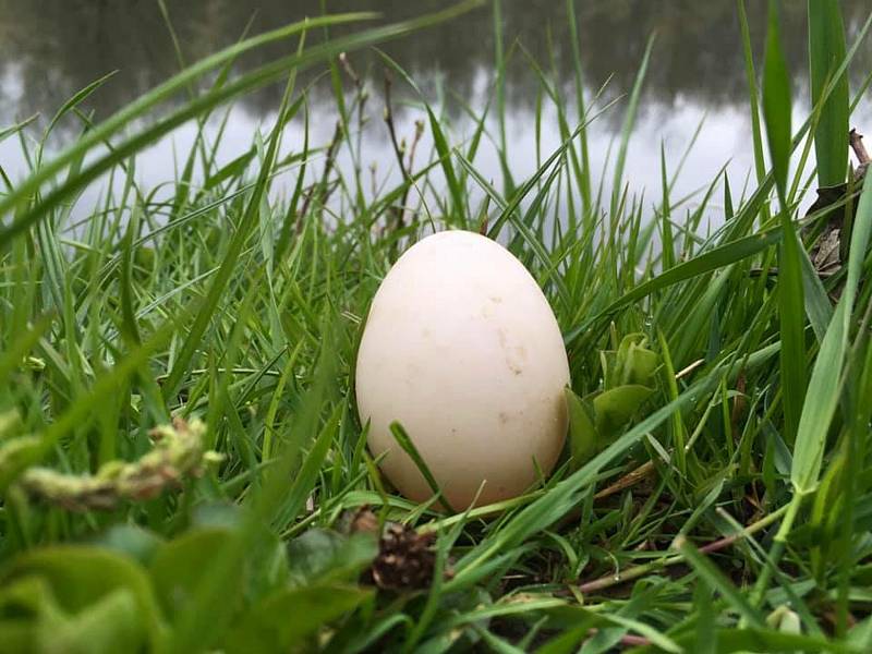 V dubnu nás překvapilo ,,aprílové" počasí. Slunné dny střídaly plískanice a sníh.