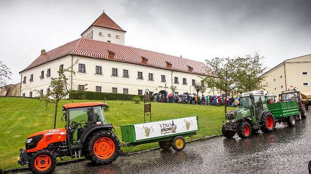 Osm stovek milovníků vína dorazilo na čejkovický okruh vinohrady, aby mohlo okoštovat víno. Navzdory větru a dešti.