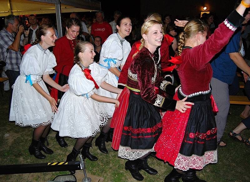 Téma vystoupení v soutěži čtvrtého ročníku dambořického festivalu je „Povinně o víně“.