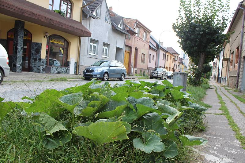 Třída Dukelských hrdinů v Hodoníně v úseku plánovaných oprav.