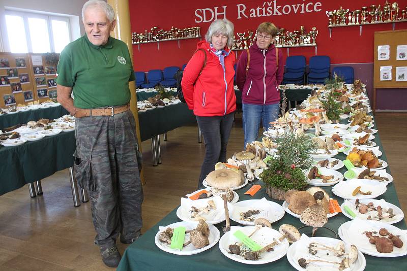 Jednačtyřicátý ročník Výstavy hub v Ratíškovicích.