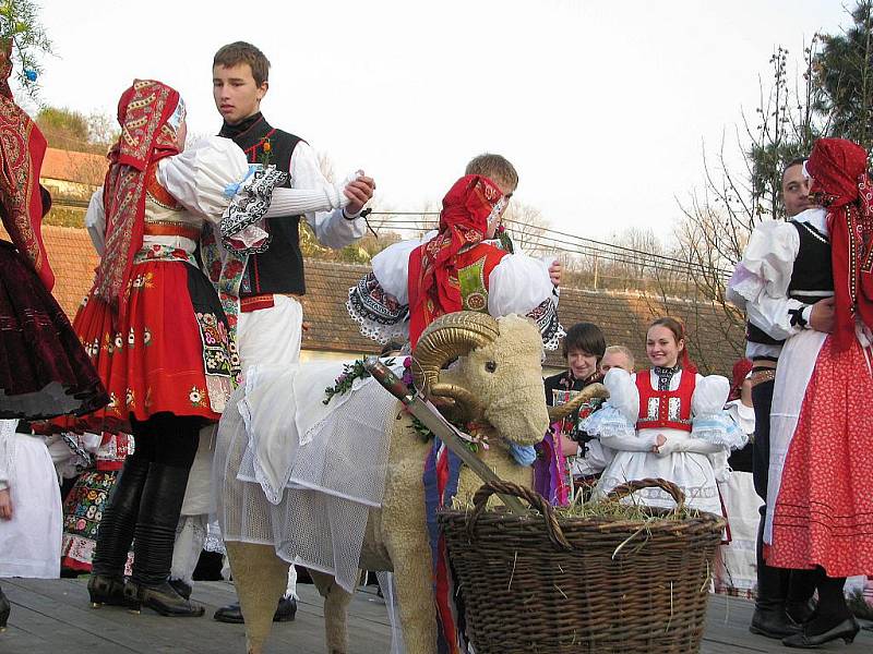 V Bohuslavicích o hodech setnuli berana.