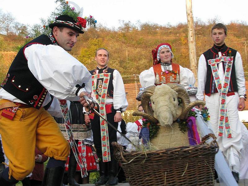 V Bohuslavicích o hodech setnuli berana.