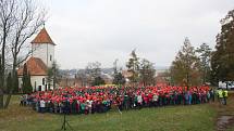 Z téměř dvou tisíc nafukovacích balonků vytvořili žáci a studenti kyjovských škol za pomoci veřejnosti živý vlčí mák, kterým uctili válečné vetrány.