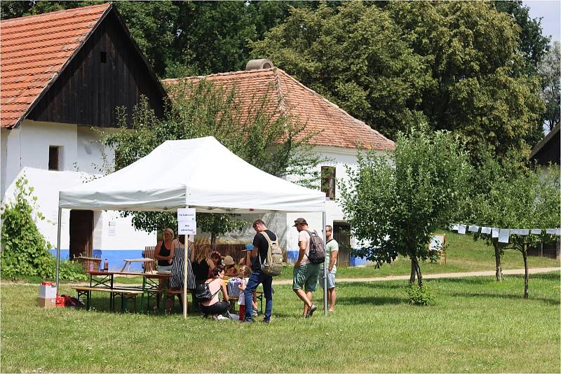 Akce Od Alíka po Maxipsa Fíka mapovala soužití člověka a psa v našem okolí v minulosti nedávné a v současnosti.