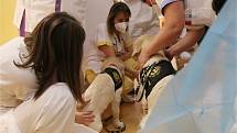 Canisterapeutičtí psi zvedli náladu personálu Nemocnice Kyjov.