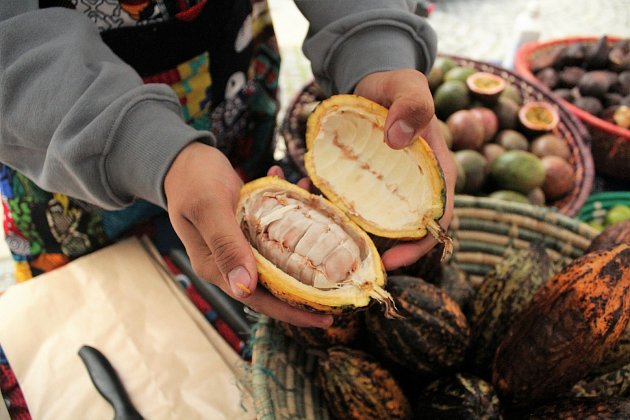 Na Afrických trzích bude k prodeji široký sortiment čerstvého ovoce, koření a dalších pochutin.