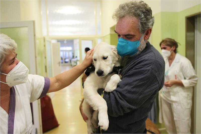 Canisterapeutičtí psi zvedli náladu personálu Nemocnice Kyjov.