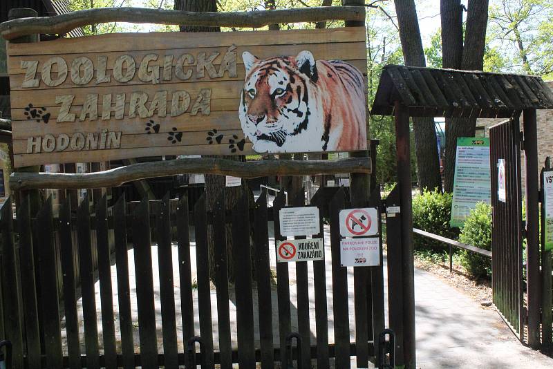 Lidé si mohou po znovuotevření zoologické zahrady prohlédnout zvířata ve venkovních výbězích či voliérách.