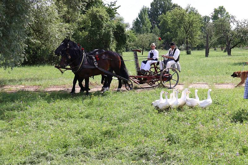 Dožínky ve skanzenu jsou ve Strážnici již tradiční folklorní akcí.