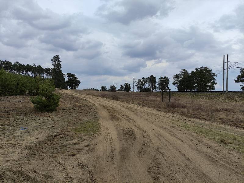 Moravská Sahara, jak se říká Národní přírodní památce Váté písky, je unikátním místem podél železniční trati mezi stanicemi Rohatec - Kolonie a Bzenec - Přívoz.