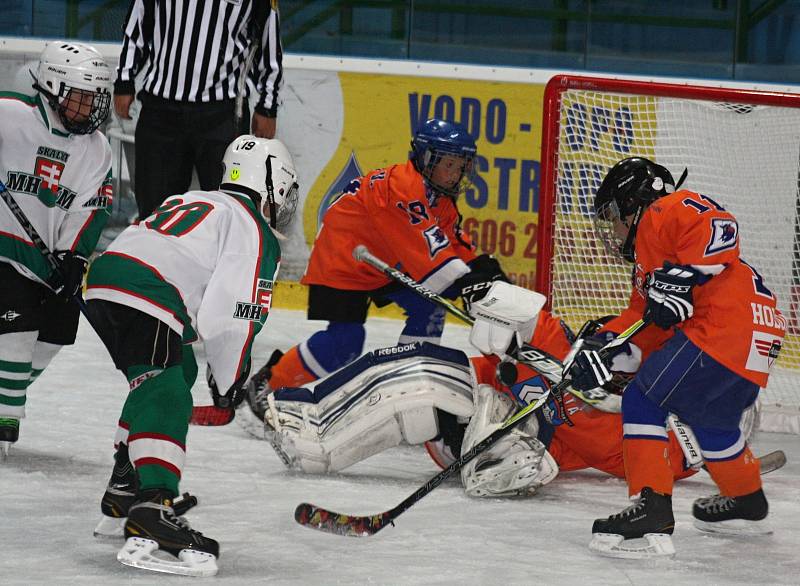 O víkendu se na Zimním stadionu Václava Nedomanského uskutečnil dvoudenní turnaj hráčů ročníku 2008 a 2009 v ledním hokeji. O vítězství na Asalonta Cupu se utkalo šestnáct družstev.