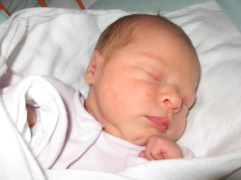 Alžběta Brázdová, 22. září 2010, 49 cm, 3,15 kg, Šardice