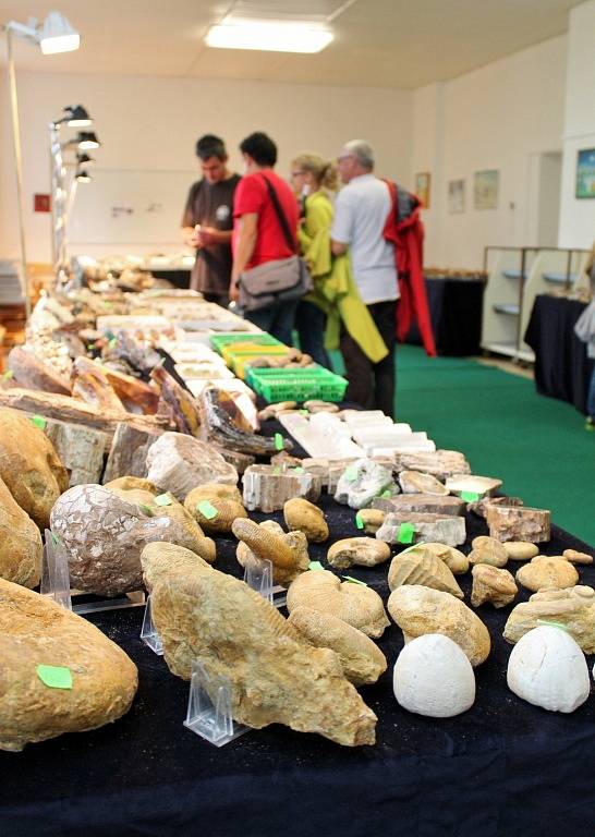 Třetí ročník burzy minerálů a fosilií v hodonínském Muzeu naftového dobývání a geologie.