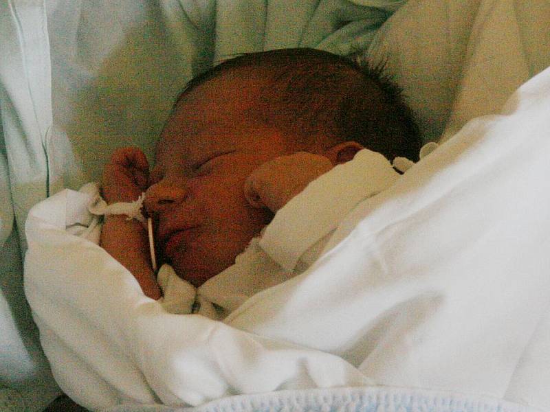 Michal Ševčík, 50 cm, 3,2 kg, 11. 8. 2010, Ratíškovice