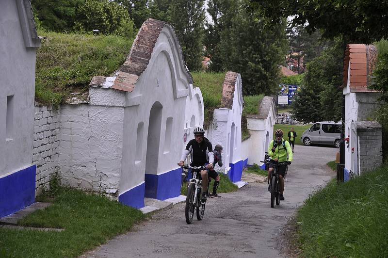 Strážnickem za vínem jelo v sobotu na pět set cyklistů.