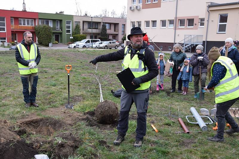 Bažantnici zaplnily nové stromy.