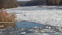 Řeka Morava u Hodonína v pondělí krátce po čtrnácté hodině.