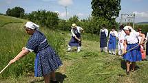 Tradiční kosení a vystoupení folklorních souborů v Nové Lhotě.