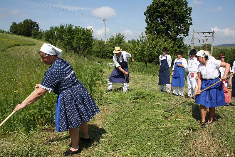 Tradiční kosení a vystoupení folklorních souborů v Nové Lhotě.