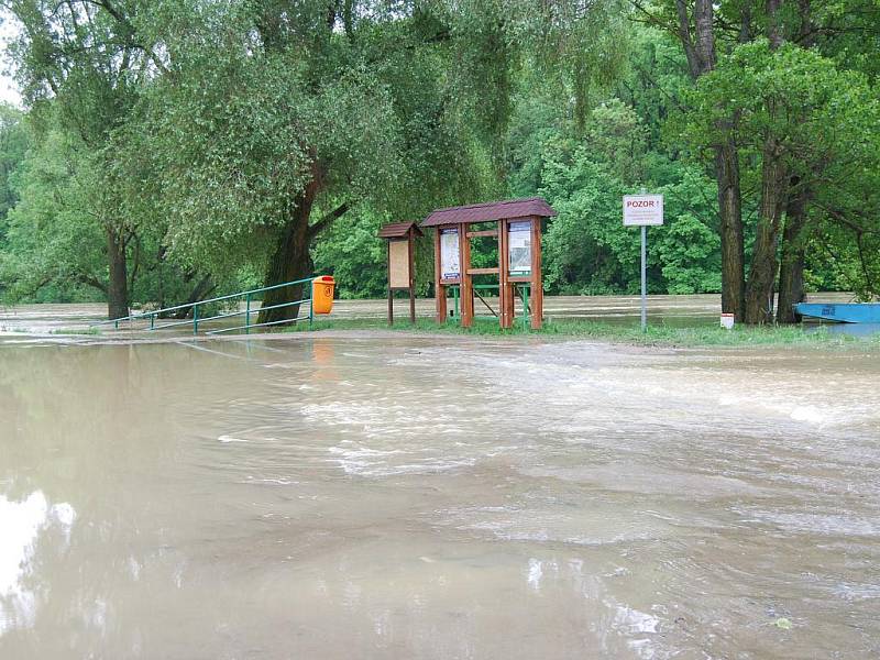 Rozvodněná Morava u Rohatce