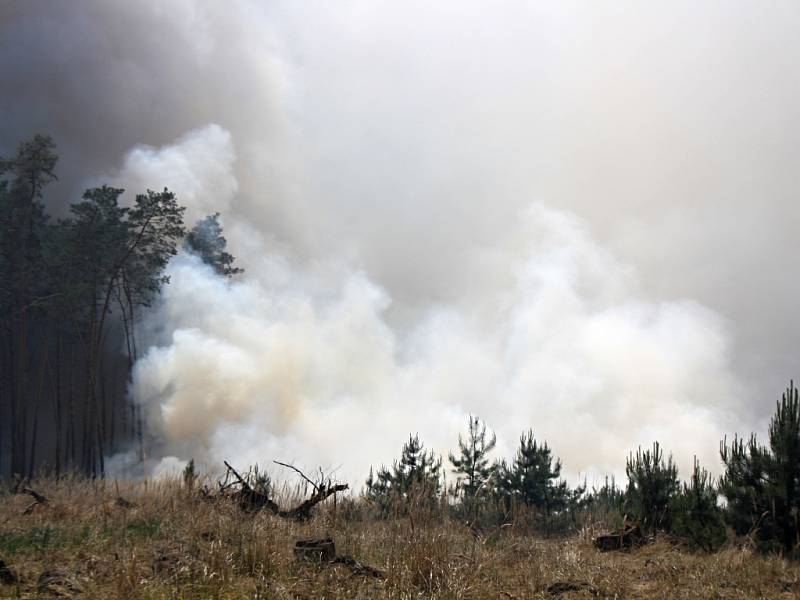 Požár lesa u Bzence.