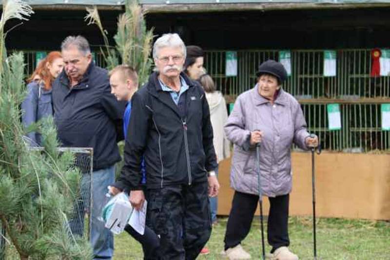 Výstava drobného zvířectva láká návštěvníky na přehlídku hospodářských zvířat i domácích mazlíčků.