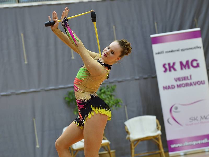 V Hodoníně se uskutečnilo mistrovství České republiky v moderní gymnastice. Ve sportovní hale TEZA se představilo třicet nejlepších závodnic do třiadvaceti let.