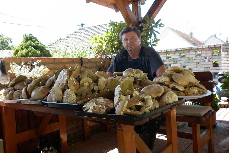 Třiatřicet kilo hub našel v týdnu v lese u Mutěnic Miloslav Belka z Mikulčic.