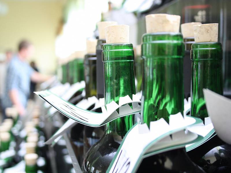 Ve Starém Poddvorově se konala pětatřicátá putovní výstava vín z Podluží.