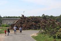 Pařezy tornádem poničených stromů v hodonínské místní části Bažantnice v pondělí 16. srpna.
