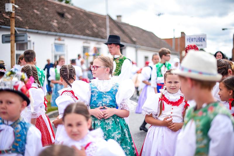 Mozaika pohledů a zážitků z letošního Mezinárodního folklorního festivalu ve Strážnici.