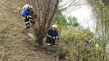 Ropná látka se objevila ve čtvrtek krátce před polednem na vodní hladině řeky Kyjovky v Mikulčicích u tamní čističky. Po původu znečištění pátrají policisté.