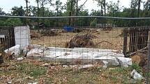 Poničené oplocení hodonínské zoologické zahrady tři týdny po tornádu.