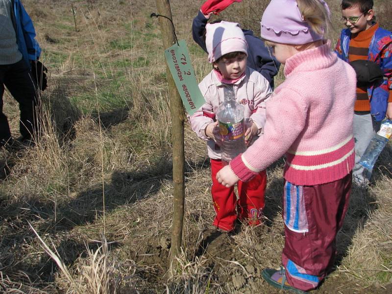 Věteřovské děti sázely oskeruše