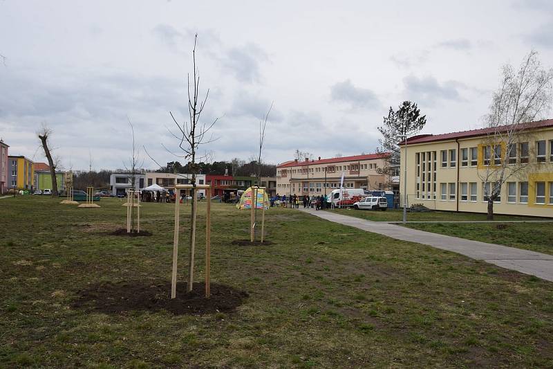 Bažantnici zaplnily nové stromy.