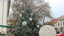 Novým vánočním stromem v Hodoníně je stříbrný smrk.