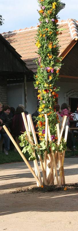 V Prušánkách k vínu a burčáku z otevřených sklepů zahrála dechová kapela a cimbálová muzika.