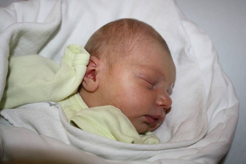 Lucie Šebestová, 30. 8. 2014, 50 cm, 3,20 kg, Kyjov